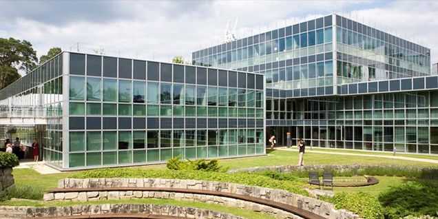 INSEAD MBA Salary 2026: Average Pay, Bonuses & Industry Breakdown