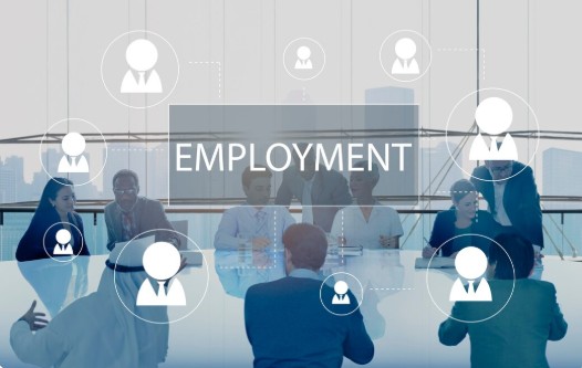 Bayes MSc Finance Placement Statistics and Top Employers