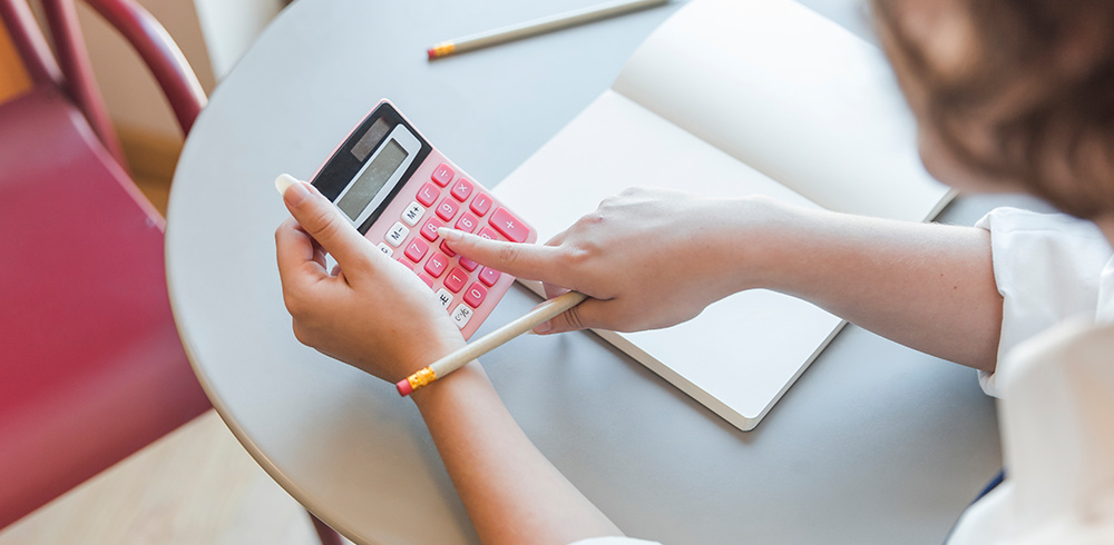 Repayment Terms and Options