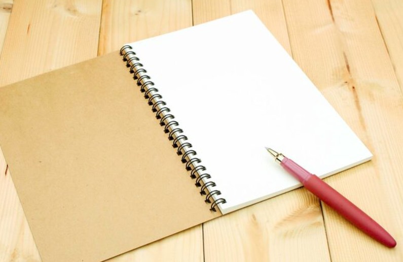 Optional Essay (Use Only If Necessary)