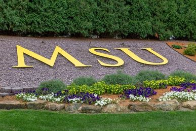 Why Minnesota is Unique?