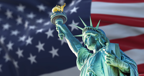 application for mfin in usa 